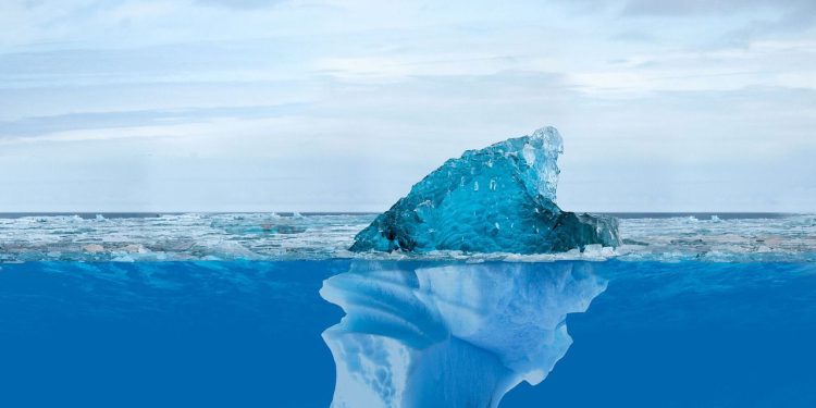 Kupci čekaju ispod medvjeđe površine