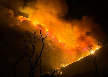 LA objavljuje novosti o požarima: Trump daje divlje tvrdnje o šumskim požarima u Kaliforniji i omalovažava Newsoma uoči posjeta