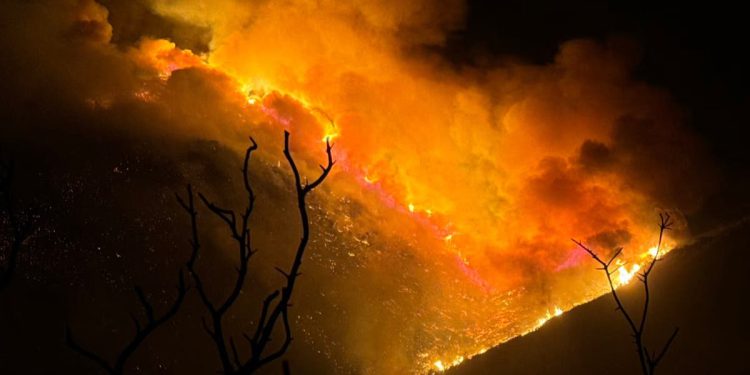 LA objavljuje novosti o požarima: Trump daje divlje tvrdnje o šumskim požarima u Kaliforniji i omalovažava Newsoma uoči posjeta