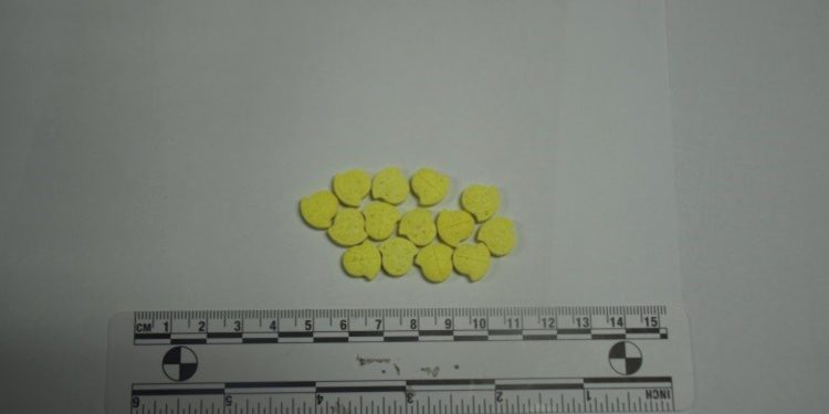 PRAVO SKLADIŠTE Kod dilera na Trešnjevci pronađene različite vrste droga | NACIONAL.HR