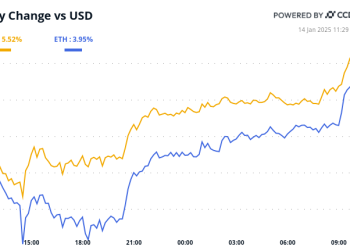Masovna rasprodaja ne zaustavlja institucionalno usvajanje BTC-a