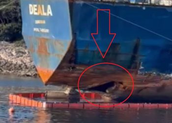 Mene je strah da se ne prevrne, apeliram na Ministarstvo da hitno nešto napravi!