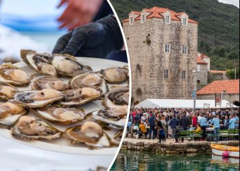 Najavljen Festival kamenica u Stonu