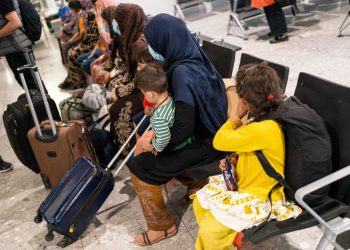 Nakon godina rata, konačno su trebali započeti svoj američki život – sve do Trumpa