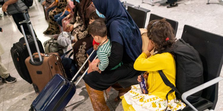 Nakon godina rata, konačno su trebali započeti svoj američki život – sve do Trumpa