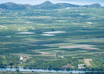 Nepoznati piromani izazivaju požare u dolini Neretve: “Skoro svake godine gori, to je u nas uobičajeno”