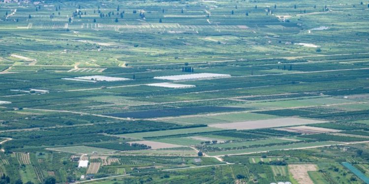 Nepoznati piromani izazivaju požare u dolini Neretve: “Skoro svake godine gori, to je u nas uobičajeno”