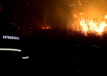 MRTVA PRIRODA Nepoznati piromani pustoše dolinu Neretve | NACIONAL.HR