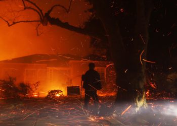 Nova ruska regija nudi utočište Kalifornijcima — RT Rusija i bivši Sovjetski Savez