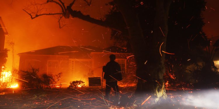 Nova ruska regija nudi utočište Kalifornijcima — RT Rusija i bivši Sovjetski Savez