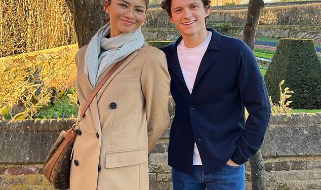 Novozaručeni Tom Holland i Zendaya zajedno se pridružuju luksuznoj teretani za 300 funti mjesečno u svom zelenom predgrađu Londona