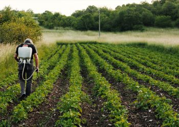 OTKRIVENO MEŠETARENJE Dva korisnika poljoprivrednih poticaja iz FBiH moraju vratiti sredstva