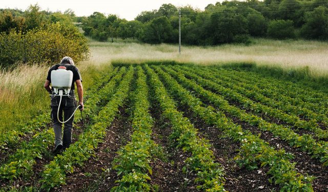 OTKRIVENO MEŠETARENJE Dva korisnika poljoprivrednih poticaja iz FBiH moraju vratiti sredstva