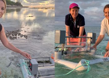 Od mora prema nebu – Kako koralji u stresu utječu na planet?