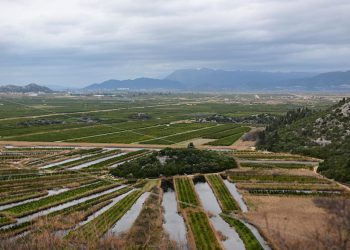 PRIZNANJE Ministrica Vučković: Zbog klimatske krize dolini Neretve prijeti isušivanje | NACIONAL.HR