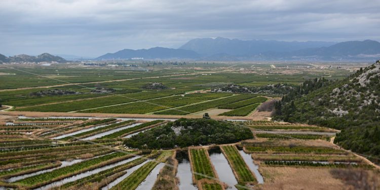 PRIZNANJE Ministrica Vučković: Zbog klimatske krize dolini Neretve prijeti isušivanje | NACIONAL.HR