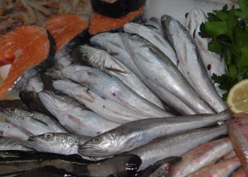 OPREZ Ova riba se povlači iz prodaje zbog pronađenih parazita | NACIONAL.HR