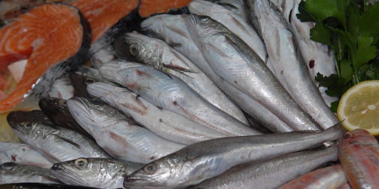 OPREZ Ova riba se povlači iz prodaje zbog pronađenih parazita | NACIONAL.HR