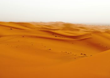 Pješčane kutije su izlaz iz regulatorne pješčane oluje