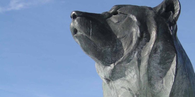 Platforma za likvidnost prije pokretanja Boyco ide uživo s 2,2 milijarde dolara u ‘prije depozita’