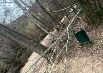 Pogledajte posljedice bure na Pricviću