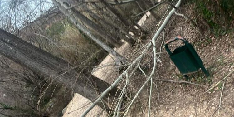 Pogledajte posljedice bure na Pricviću