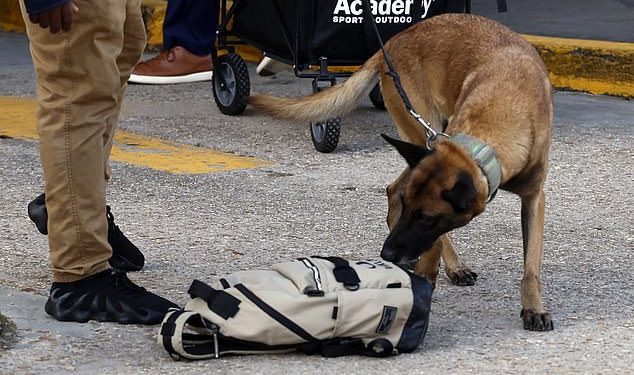 Policajci iz New Orleansa koriste pse za otkrivanje bombi kako bi osigurali Superdome za Notre Dame-Georgia Sugar Bowl nakon terorističkog napada