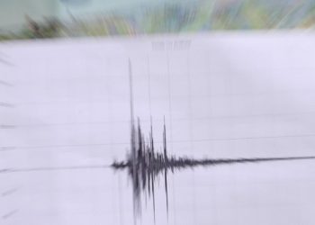 Potres u Albaniji – Dubrovački dnevnik