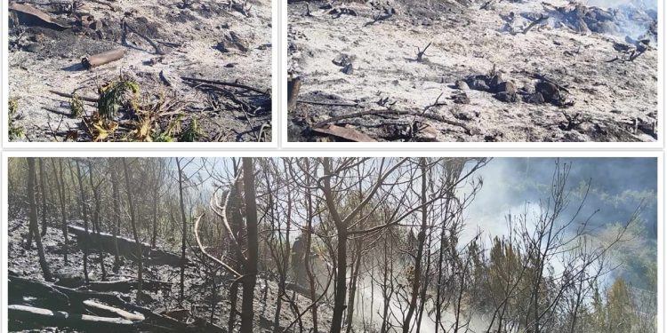 Požar na Pelješcu prouzročen paljenjem korova? Pogledajte što je ostalo nakon buktinje