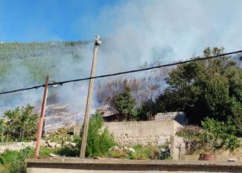 Požar u Trsteniku na zemljištu obitelji europarlamentarca Bartulice, radovi čišćenja uzrokovali vatru