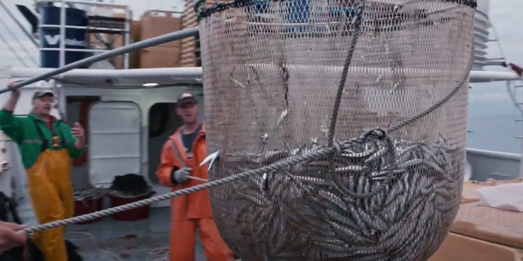 Prvo isplata članovima posade, a onda potpora za obustavu ribolova srdela!