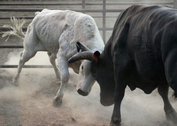 Ripple Token dosegao 7-godišnji maksimum iznad 3 USD dok je Bitcoin (BTC) premašio 100.000 USD