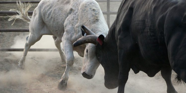 Ripple Token dosegao 7-godišnji maksimum iznad 3 USD dok je Bitcoin (BTC) premašio 100.000 USD