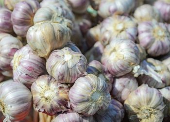 S polica se povlači Metro Chef češnjak u češnjevima: “Sadrži nedopuštenu količinu pesticida!”
