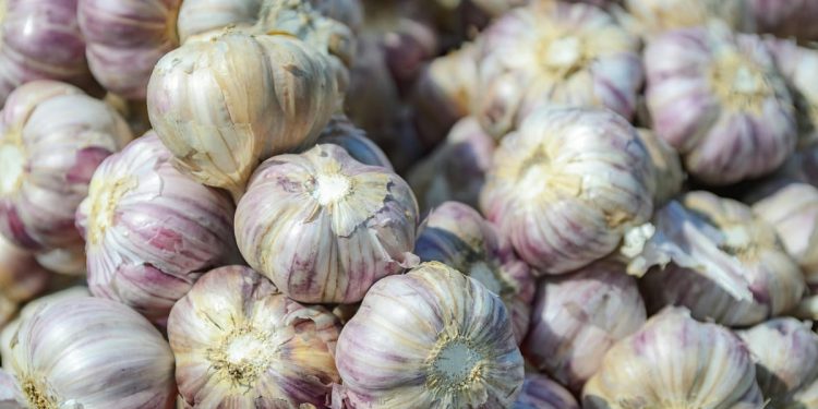 S polica se povlači Metro Chef češnjak u češnjevima: “Sadrži nedopuštenu količinu pesticida!”