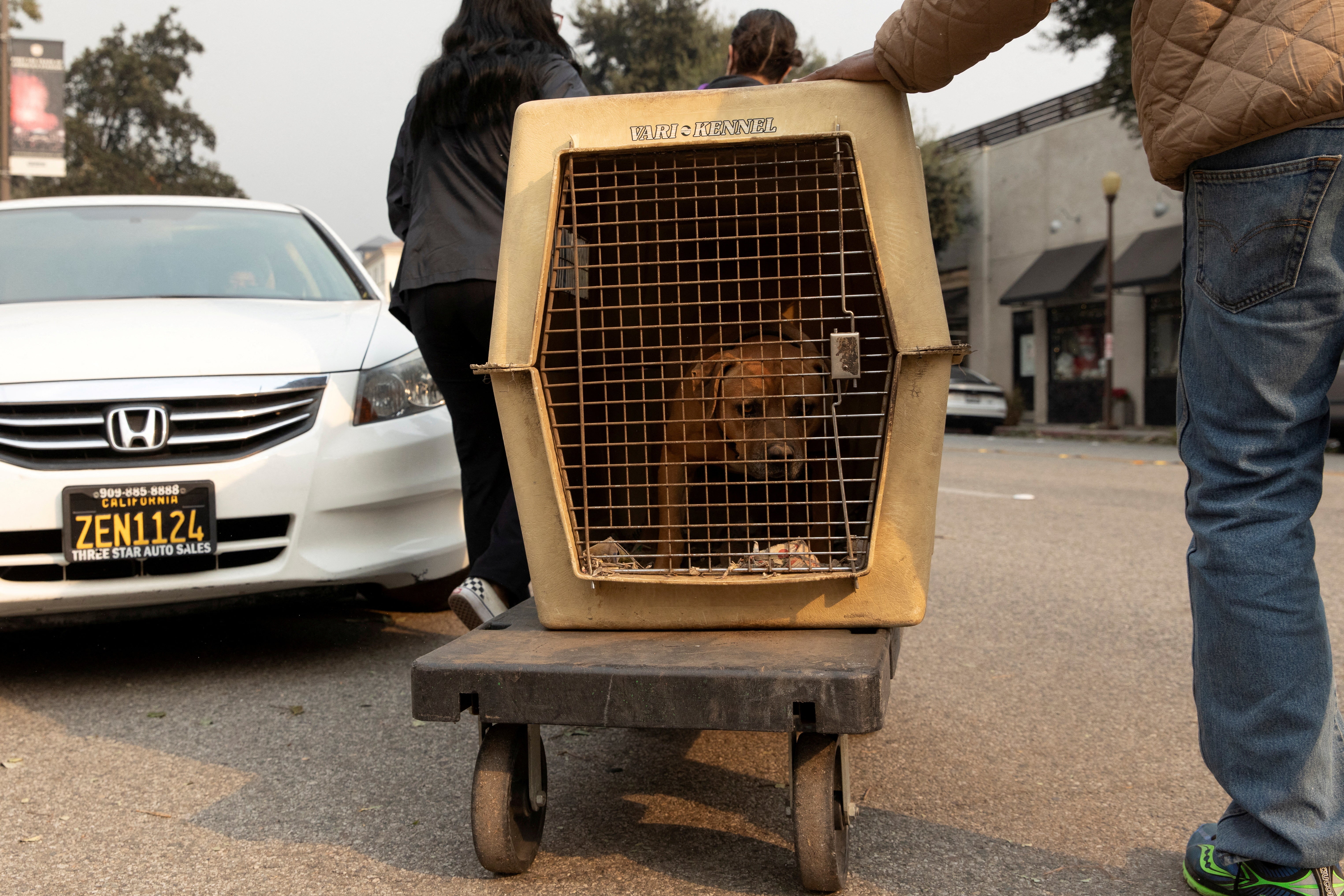 Evakuirani stanovnici iz Eaton Fire, nose kućicu sa psom dok traže utočište za njega, u Pasadena Humane Society u Pasadeni, Kalifornija, SAD, 8. siječnja 2025.