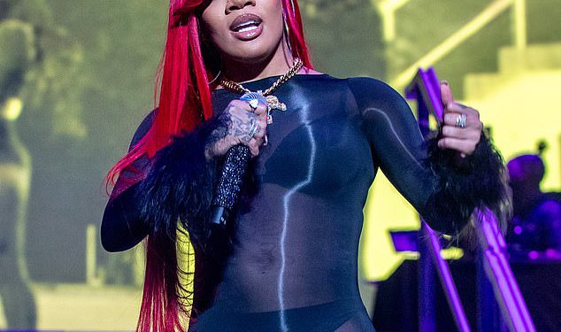 Sexyy Red osudila je kćerka Martina Luthera Kinga Jr. Bernice zbog ‘žalosne i bez poštovanja’ AI slike