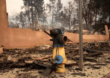 Šumski požari u Kaliforniji: Kako i zašto su hidranti presušili u Los Angelesu?