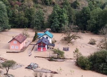 TKO ĆE ODGOVARATI ZA KRALJUŠTICU? Institucionalno sljepilo, paraliza, nerad inspektorata i Zakon o šumama kao alibi za nečinjenje
