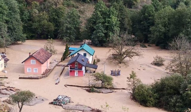 TKO ĆE ODGOVARATI ZA KRALJUŠTICU? Institucionalno sljepilo, paraliza, nerad inspektorata i Zakon o šumama kao alibi za nečinjenje