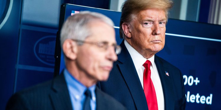 Trump opoziva sigurnosne pojedinosti za Faucija