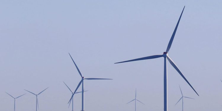 Trump sprema udarac na industriju zelene energije: "Obustavit će ih na šest mjeseci"