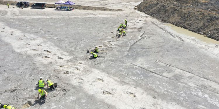 U Engleskoj otkriveni otisci stopala “autoceste dinosaura” stari 166 milijuna godina