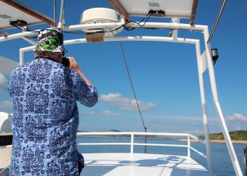 U studenome 2024. za 20,5% više dolazaka i za 20,1% više noćenja nego u studenome 2023.