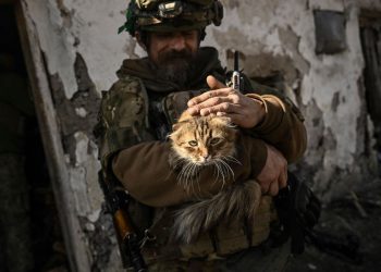 Ukrajinci koriste zvukove mačaka kako bi namamili ruske trupe u zamke pune eksploziva, tvrdi vojnik