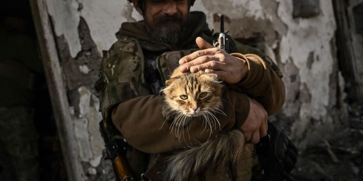 Ukrajinci koriste zvukove mačaka kako bi namamili ruske trupe u zamke pune eksploziva, tvrdi vojnik