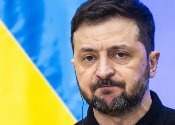 Ukrajinski zastupnik poručio Zelenskom da se ponaša kao pas — RT Rusija i bivši Sovjetski Savez