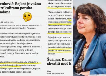 Vijećnica iz Splitsko-dalmatinske županije postavila nekoliko pitanja Plenkoviću i Vladi RH