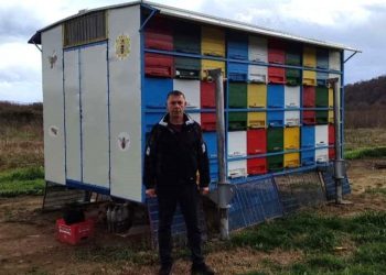 ZADRUGA ‘MATIČNJAK’ Pčelari iz Čapljine se ujedinili, pa uspjeli med plasirati na police hercegovačkog trgovačkog lanca