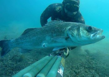 Za ovaj se osjećaj ide u more!